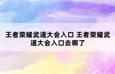 王者荣耀武道大会入口 王者荣耀武道大会入口去哪了